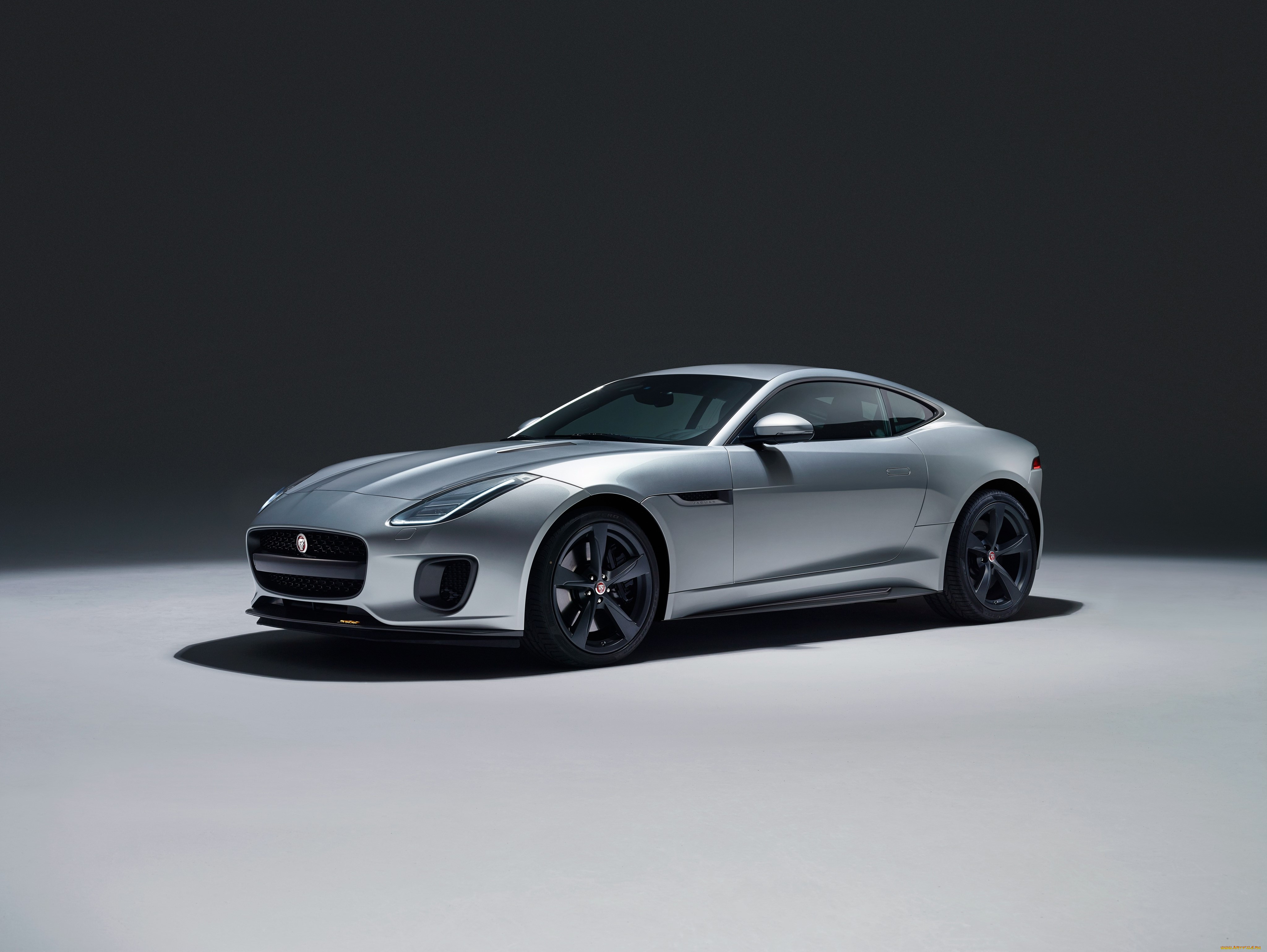 , jaguar